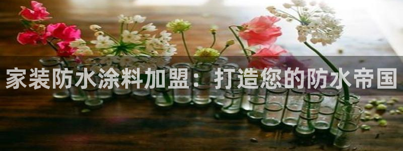 和记app官网：家装防水涂料加盟：打造您的防水帝国