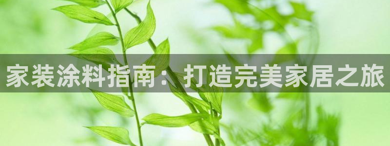 和记国际电讯市值：家装涂料指南：打造完美家居之旅