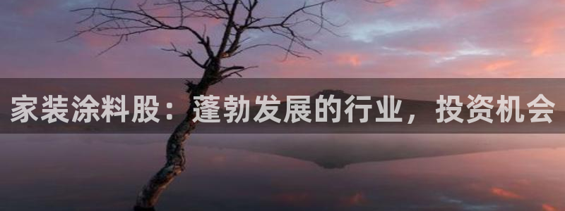 和记平台：家装涂料股：蓬勃发展的行业，投资机会