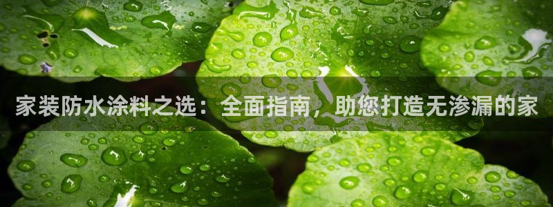 和记官网 公司：家装防水涂料之选：全面指南，助您打造无渗漏的