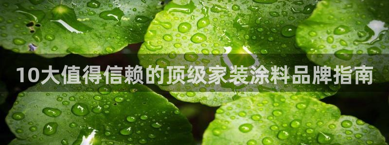 和记娱好网址：10大值得信赖的顶级家装涂料品牌指南