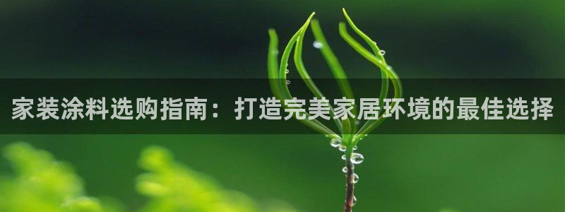 和记 首页：家装涂料选购指南：打造完美家居环境的最佳选择