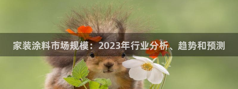 和记平台官网：家装涂料市场规模：2023年行业分析、趋势和预测