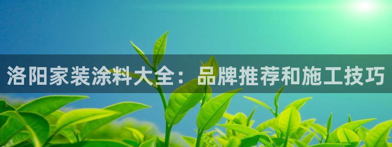 青岛大生和记餐饮管理有限公司：洛阳家装涂料大全：品牌推荐和施工技巧