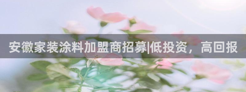 和记官方直营注册导航：安徽家装涂料加盟商招募|低投资，高回报