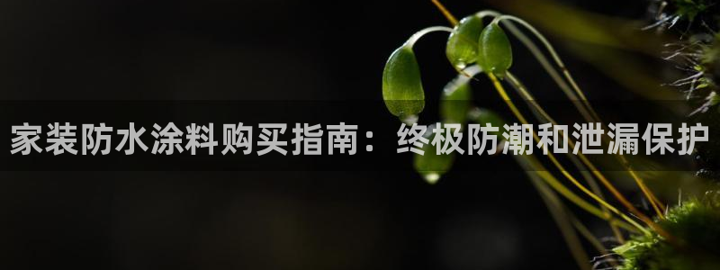 和记官网官方网站