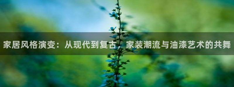 和记app官网