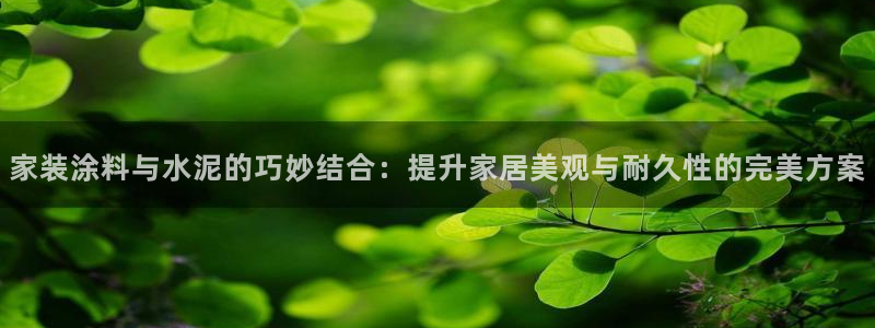 江苏和记数码科技有限公司：家装涂料与水泥的巧妙结合：提升家居
