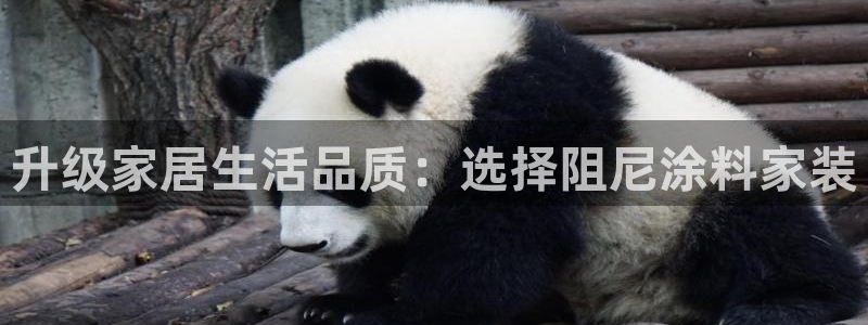 和记官方直营注册：升级家居生活品质：选择阻尼涂料家装