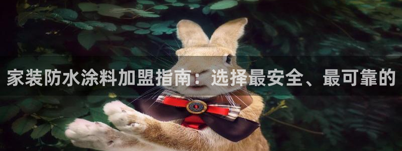 和记登陆：家装防水涂料加盟指南：选择最安全、最可靠的