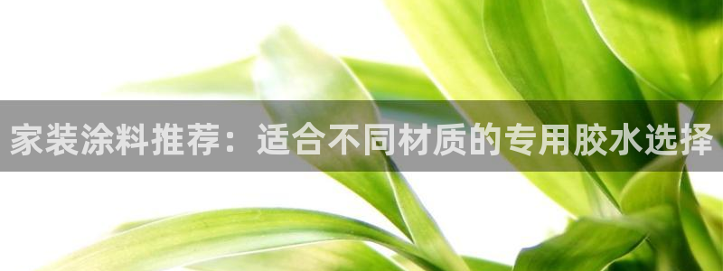 江苏和记数码科技有限公司：家装涂料推荐：适合不同材质的专用胶水选择