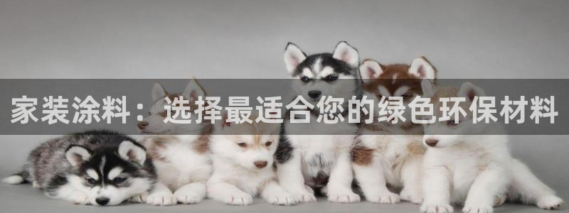 和记2017app：家装涂料：选择最适合您的绿色环保材料