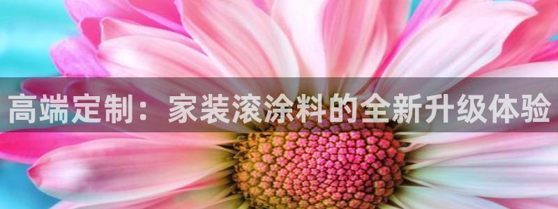 和记(福建)商贸有限公司：高端定制：家装滚涂料的全新升级体验