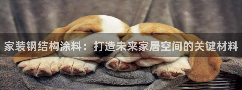 和记国际官网官网：家装钢结构涂料：打造未来家居空间的关键材料