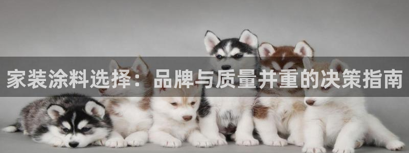 和记国际开户