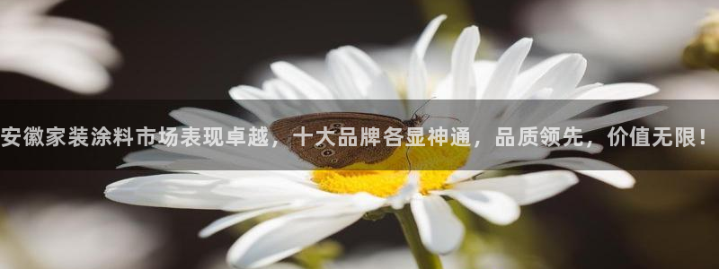 和记ag旗舰国际：安徽家装涂料市场表现卓越，十大品牌各显神通，品质领先，价值无限！
