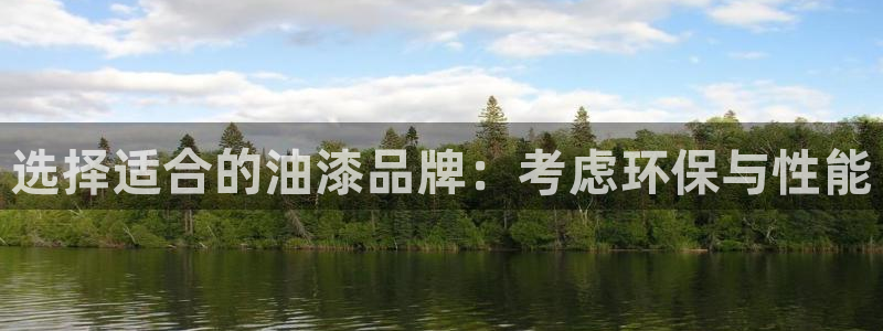 和记港口：选择适合的油漆品牌：考虑环保与性能