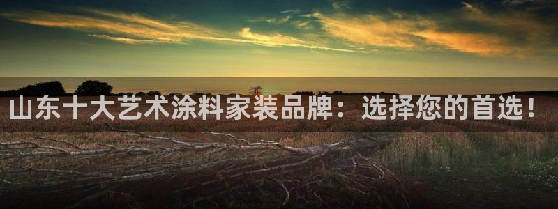 和记官方平台：山东十大艺术涂料家装品牌：选择您的首选！
