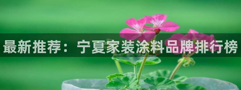 和记2017app：最新推荐：宁夏家装涂料品牌排行榜