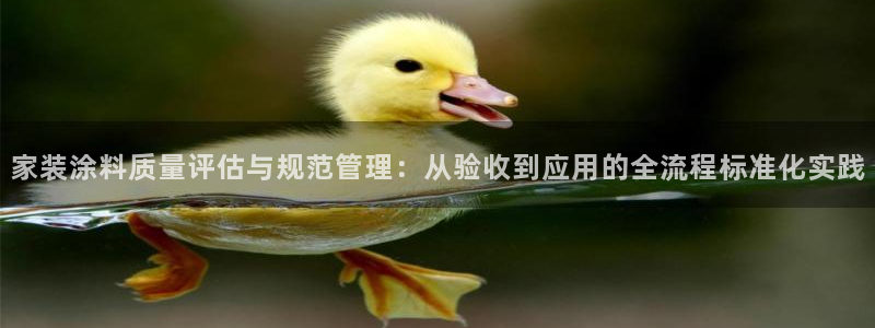 和记AG：家装涂料质量评估与规范管理：从验收到应用的全流程标准化实践