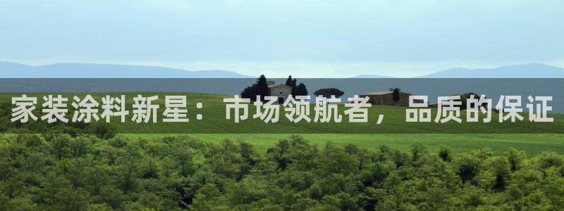 和记h88最新客户端下载：家装涂料新星：市场领航者，品质的保证