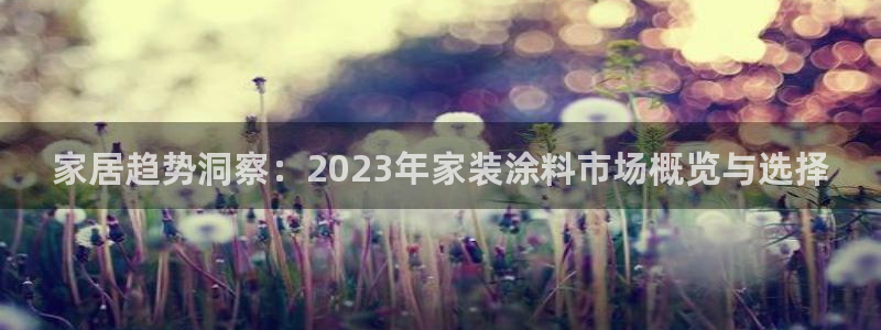 和记平台：家居趋势洞察：2023年家装涂料市场概览与选择