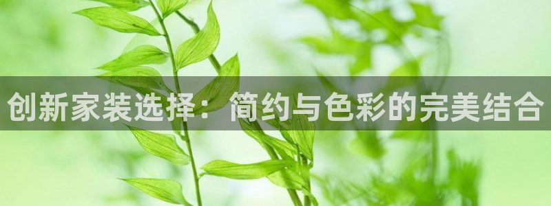 江苏和记餐饮有限公司：创新家装选择：简约与色彩的完美结合