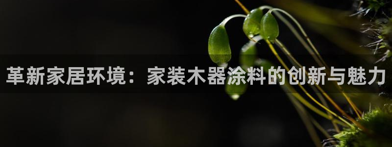 和记官方直营