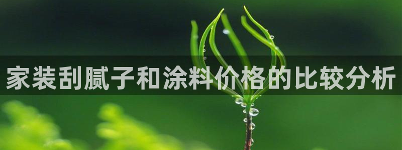 和记电业集团：家装刮腻子和涂料价格的比较分析