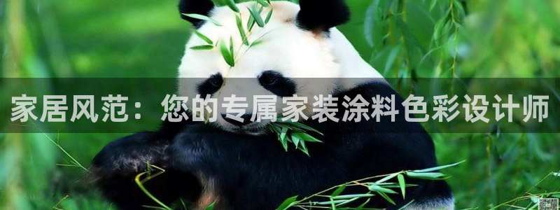 和记平台官方网：家居风范：您的专属家装涂料色彩设计师