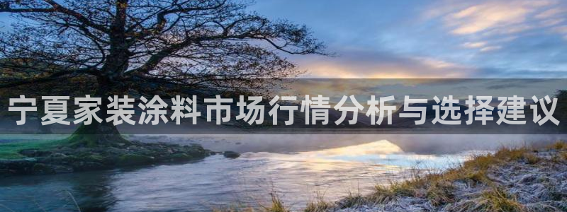 和记国际听：宁夏家装涂料市场行情分析与选择建议