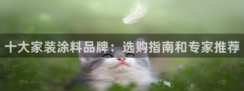 和记H88：十大家装涂料品牌：选购指南和专家推荐