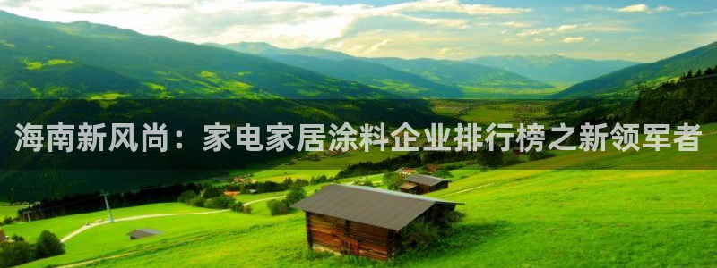 和记平台下载：海南新风尚：家电家居涂料企业排行榜之新领军者