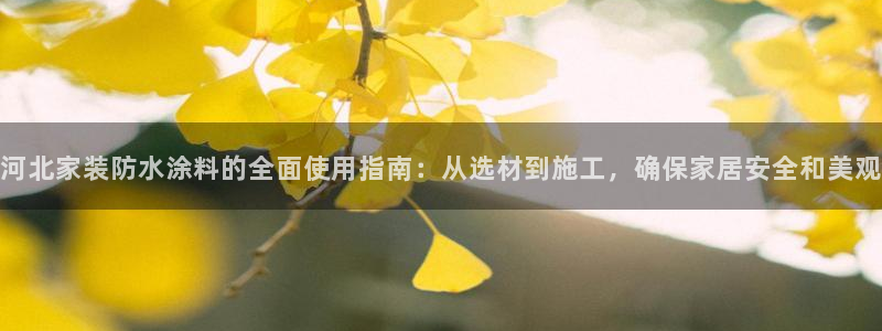 和记 中国官网：河北家装防水涂料的全面使用指南：从选材到施工，确保家居安全和美观