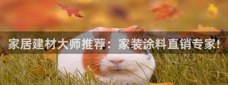 和记2017app：家居建材大师推荐：家装涂料直销专家!