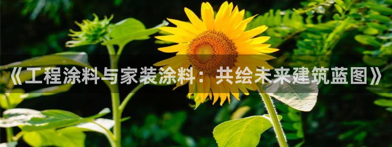 和记平台登录：《工程涂料与家装涂料：共绘未来建筑蓝图》