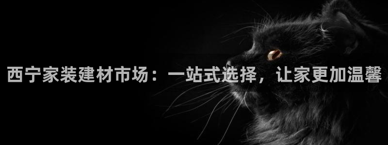 和记app官网登录：西宁家装建材市场：一站式选择，让家更加温馨