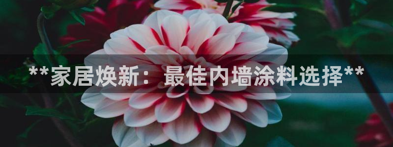 和记app官网登录：**家居焕新：最佳内墙涂料选择**