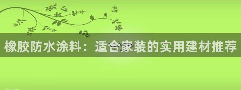 和记ag网址：橡胶防水涂料：适合家装的实用建材推荐