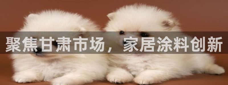 和记hj：聚焦甘肃市场，家居涂料创新