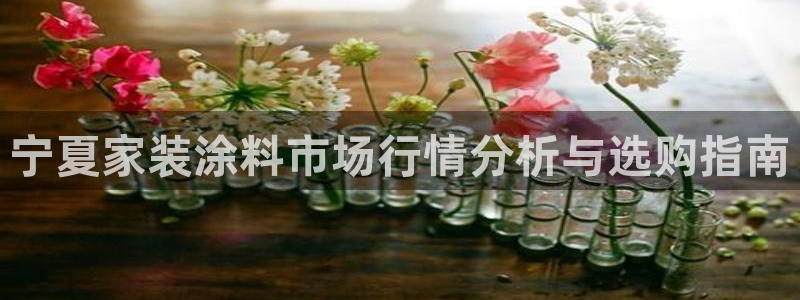 和记ag旗舰厅app：宁夏家装涂料市场行情分析与选购指南