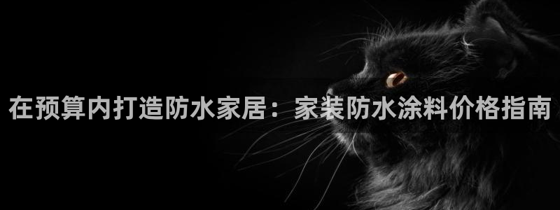 和记h8：在预算内打造防水家居：家装防水涂料价格指南