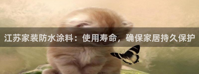 和记官方网址：江苏家装防水涂料：使用寿命，确保家居持久保护