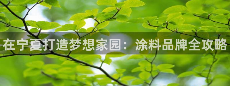 和记ag：在宁夏打造梦想家园：涂料品牌全攻略