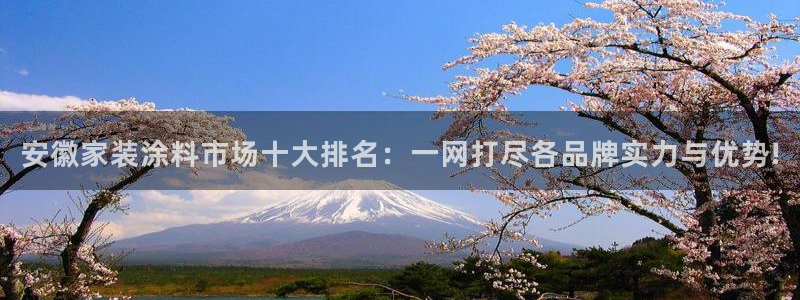官方和记国际平台登录：安徽家装涂料市场十大排名：一网打尽各品牌实力与优势!