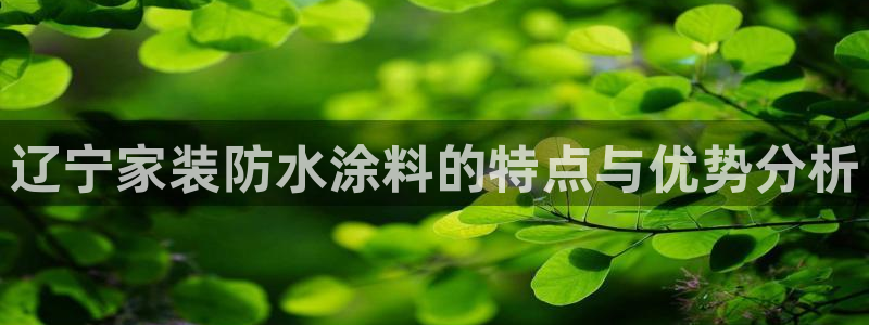 和记官方网址：辽宁家装防水涂料的特点与优势分析
