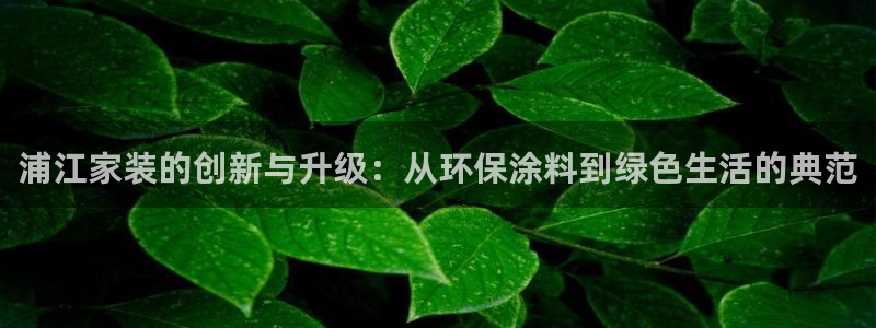 和记下载：浦江家装的创新与升级：从环保涂料到绿色生活的典范