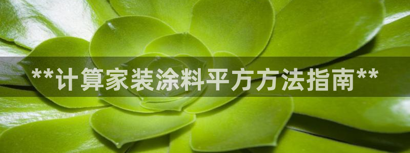 和记国际客服：**计算家装涂料平方方法指南**