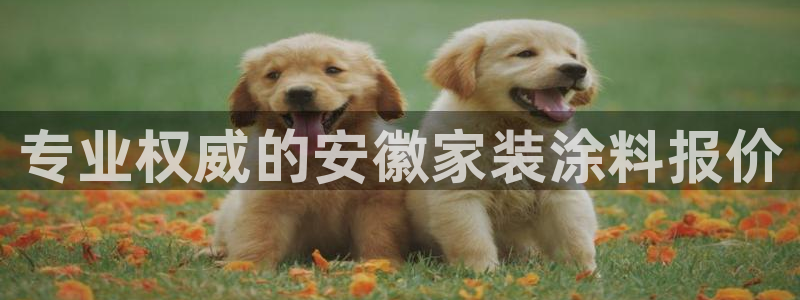 和记国际客服：专业权威的安徽家装涂料报价