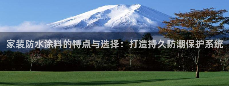 和记平台下载：家装防水涂料的特点与选择：打造持久防潮保护系统